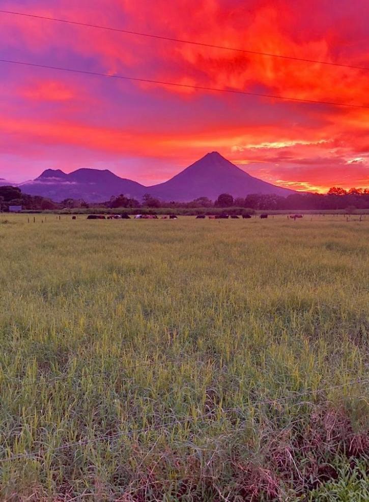 La Fortuna Befox Adventure酒店 外观 照片