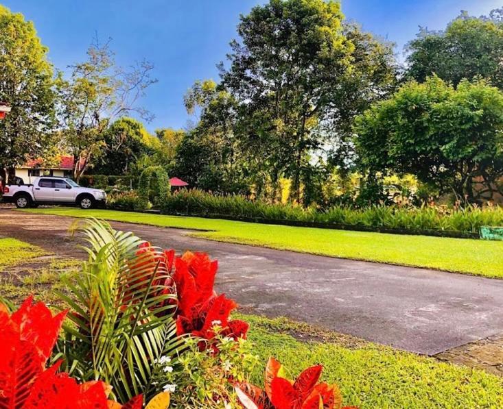 La Fortuna Befox Adventure酒店 外观 照片