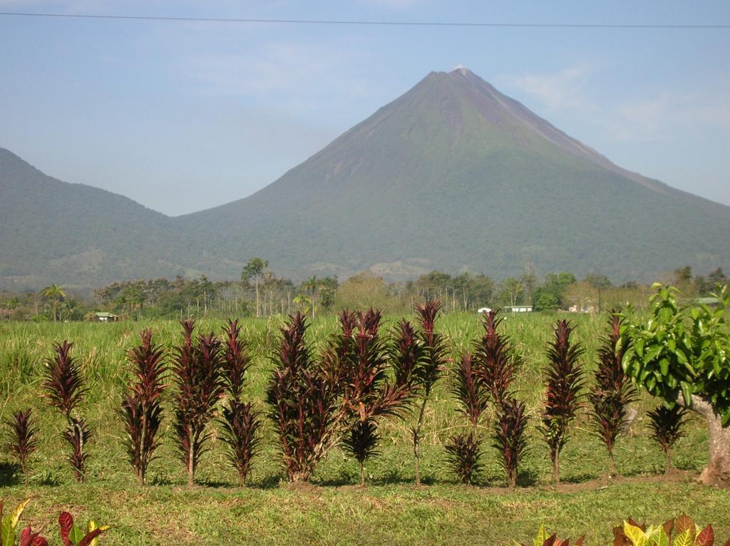 La Fortuna Befox Adventure酒店 外观 照片