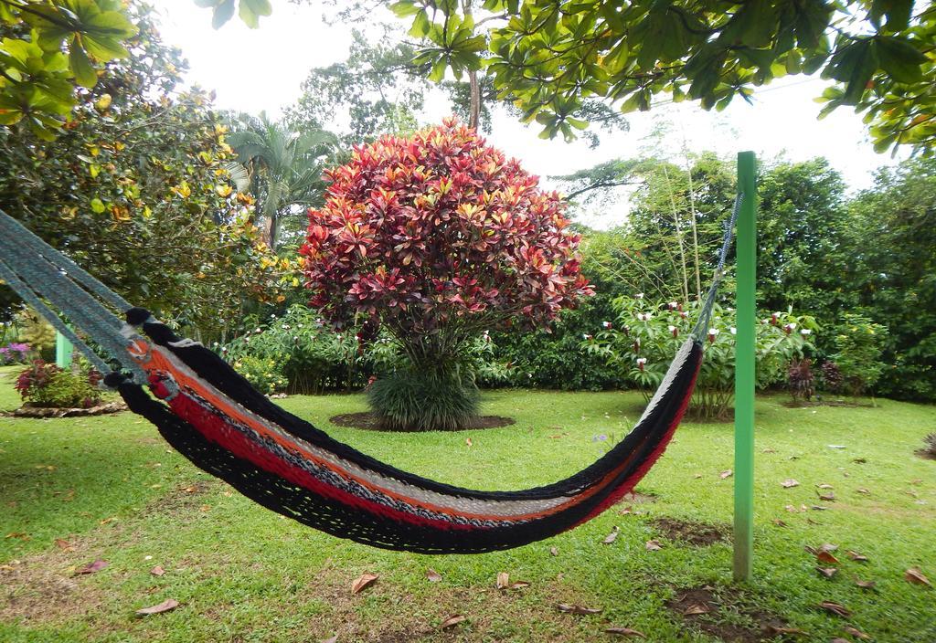 La Fortuna Befox Adventure酒店 外观 照片